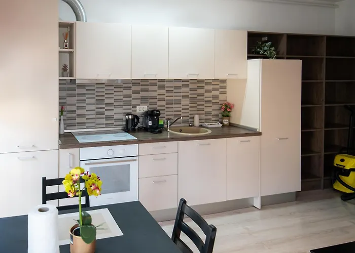 Apartment Moonlight Timişoara