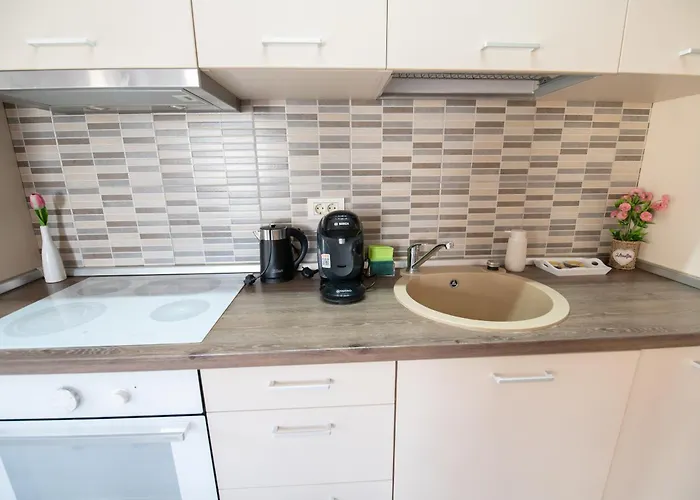 Moonlight Timişoara